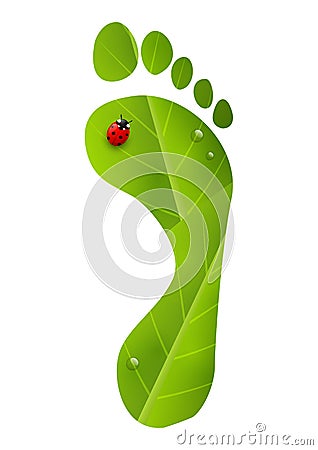 Green foot print with ladybug Vector Illustration