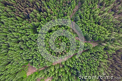 Green forest area with small road. Top down aerial view. Nature scene. Developing forest and parks for future generation concept Stock Photo