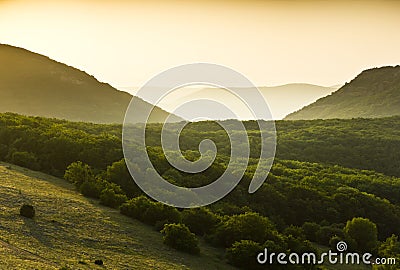 Green forest covered mountains with yellow fog Stock Photo