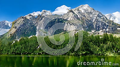 Large green forest inside mountain lake Stock Photo