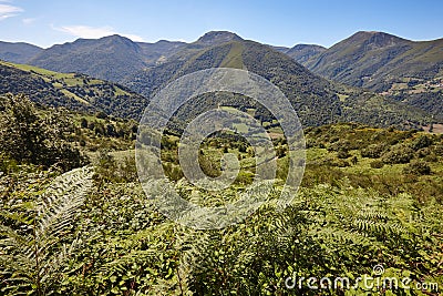 Green forest mountain landscape in Asturias. Tourism in Spain Stock Photo
