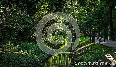 green forest park next to the thermal baths in Heviz, Hungary Stock Photo