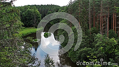 River and green forest Stock Photo