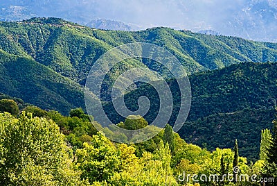 Green Forests, Greek Mountain Landscape in Storm Light Stock Photo