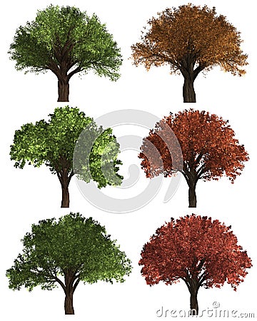 Green Forrest tree background. set Illustration tree. Background white isolate. Stock Photo