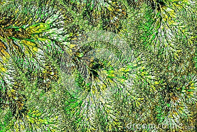 Fractal texture - abstract digitally generated image Stock Photo