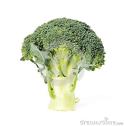 Green fresh brocoli Stock Photo