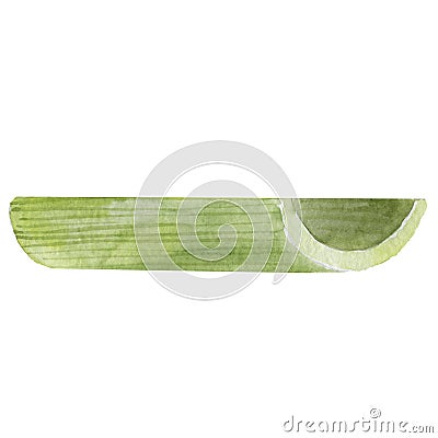 Green fresh celery. Stick isolated on white. Stock Photo