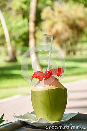 Green fresh coconut with straw and red flower served like cocktail drink in outdoor bar at resort Stock Photo