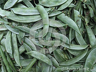 Green fresh healthy vegetarian Indian Broad beans Stock Photo