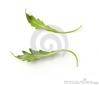 Green fresh rucola leaves isolated on white background Stock Photo