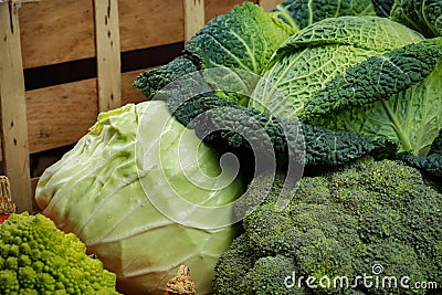 Green fresh vegetables - whole Savoy cabbage, broccoli, other ca Stock Photo