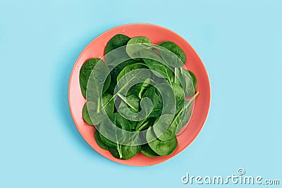 Green fresh vegetarian salad leaves on coral plate on blue background. Healthy and zero waste life concept Stock Photo