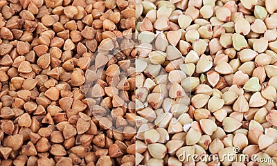 Green and fried buckwheat. Macro Stock Photo