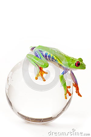 Green Frog on Globe Stock Photo