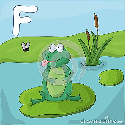 Green frog on a lake. Childrens illustrated alphabet. Letter F . Vector Illustration