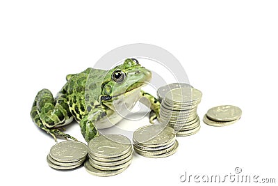 Green frog with money Stock Photo