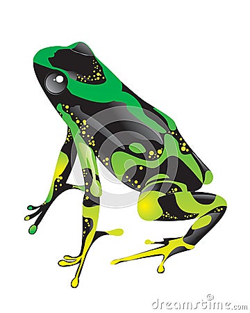 Green frog with pimples Vector Illustration