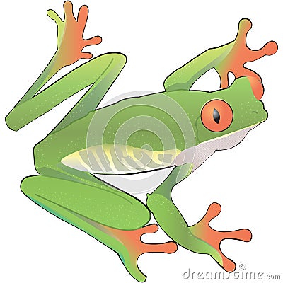 Green frog vector art Vector Illustration