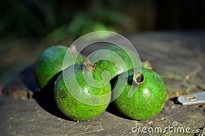 Green fruits of the American genipa on wooden table Stock Photo