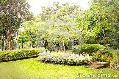 Green garden in the morning at Suan Luang Rama 9 Park Stock Photo