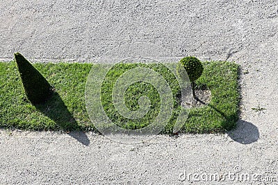 Green garden on a pebbles texture background Stock Photo