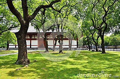 Green garden of Toji temple, Kyoto Japan spring. Stock Photo