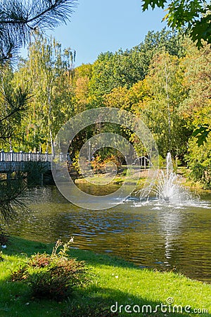 The green glade on the shore of the pond is a great place to relax with a beautiful view of the fountain in the middle Stock Photo
