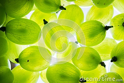 Green grape Stock Photo