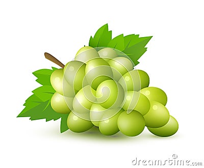 Green grape with leaves and clipping path - vector illustration Vector Illustration