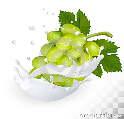 Green grape in a milk splash on a transparent background. Vector Illustration