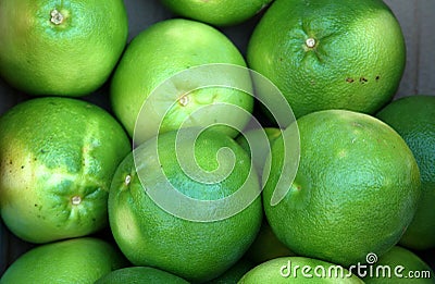 Green grapefruit Stock Photo