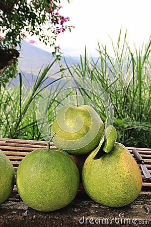 Green grapefruits on open air market Stock Photo