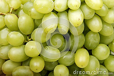 Green grapes Stock Photo