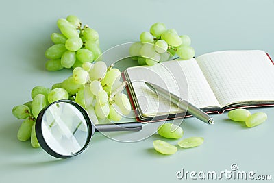 Green grapes, magnifying glass, pen and notebook on light green background. Checking the quality of grapes. Selection of grapes Stock Photo