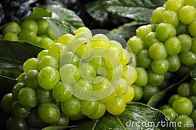 Green grapes Stock Photo