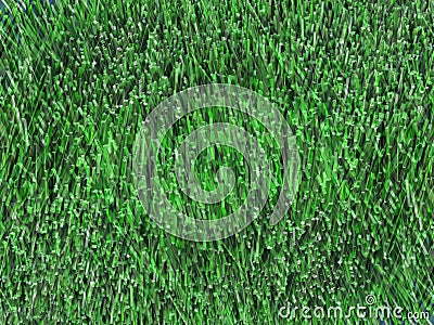 Green grass 7 Stock Photo