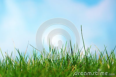 Green grass Stock Photo