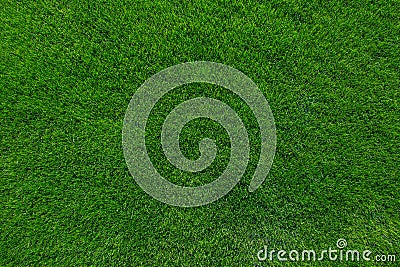 Green grass background texture Stock Photo