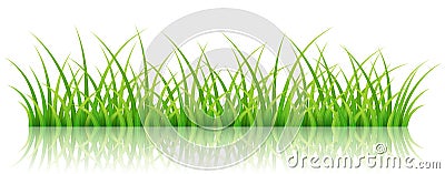 Green grass banner, on white Vector Illustration