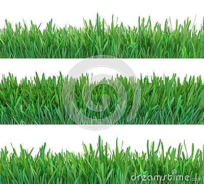 Green grass banners set. Nature background. Meadow. Spring, summer season. Plant growth 3d rendering. Stock Photo