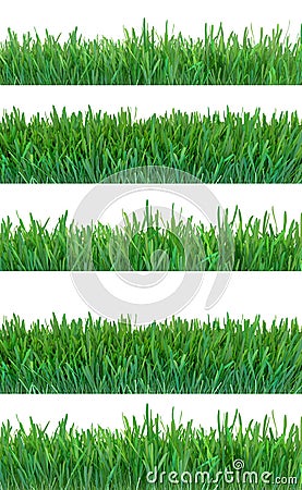 Green grass banners set. Nature background. Meadow. Spring, summer season. Plant growth 3d rendering. Stock Photo