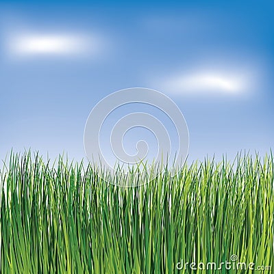 Green grass on the blue sky background Vector Illustration