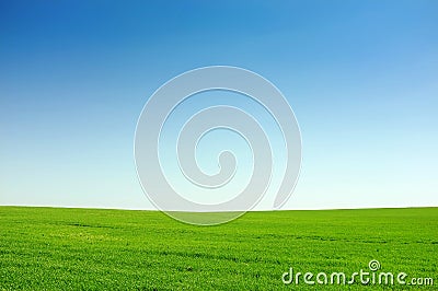 Green grass and blue sky background Stock Photo