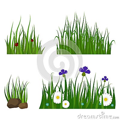 Green grass border plant lawn nature meadow ecology summer gardening vector illustration Vector Illustration