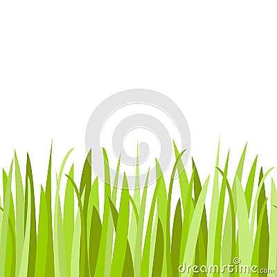 Green grass border seamless pattern. Grass in meadow. Vector illustration on white background Vector Illustration