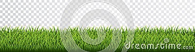 Green grass border set on transparent background. Vector Illustration Vector Illustration