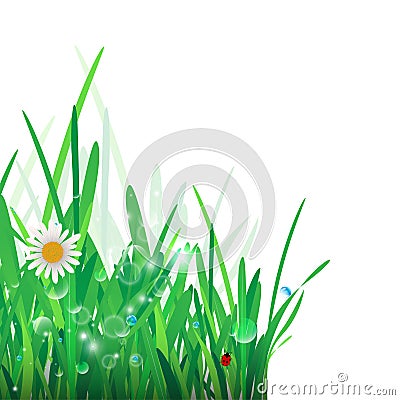 Green Grass Border. Vector Illustration