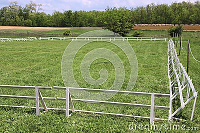 Green grass covered equestrian horse arena Stock Photo