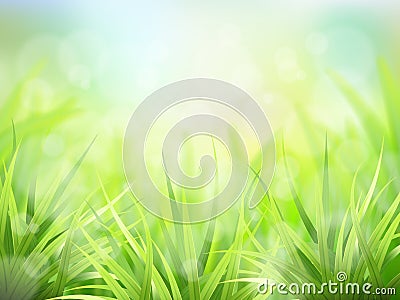 Green grass and effect bokeh Vector Illustration